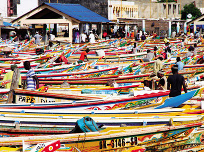 Croisiere Senegal poissonnerie de Soumbedioune Dakar